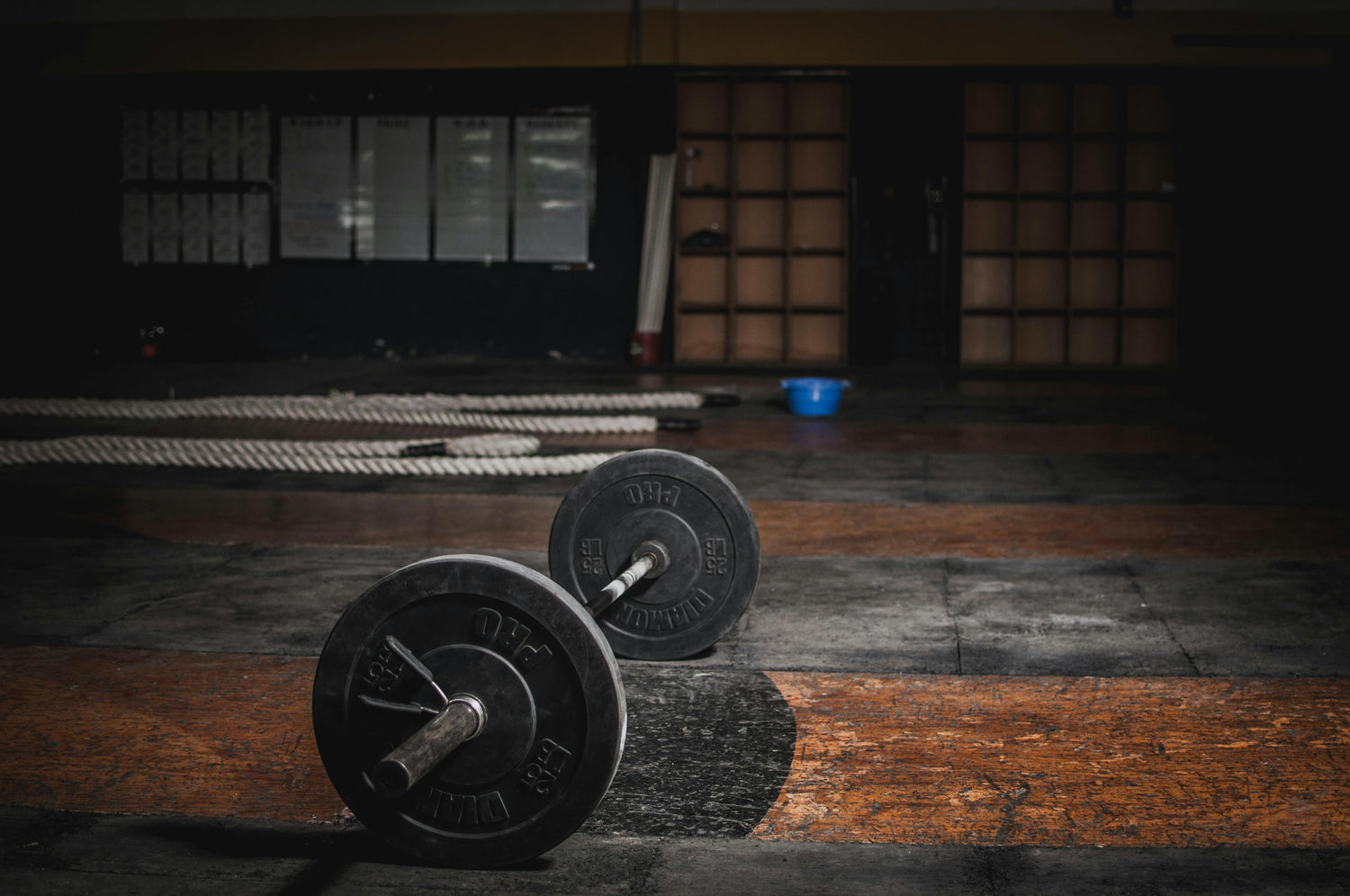 Fitness & Wellness