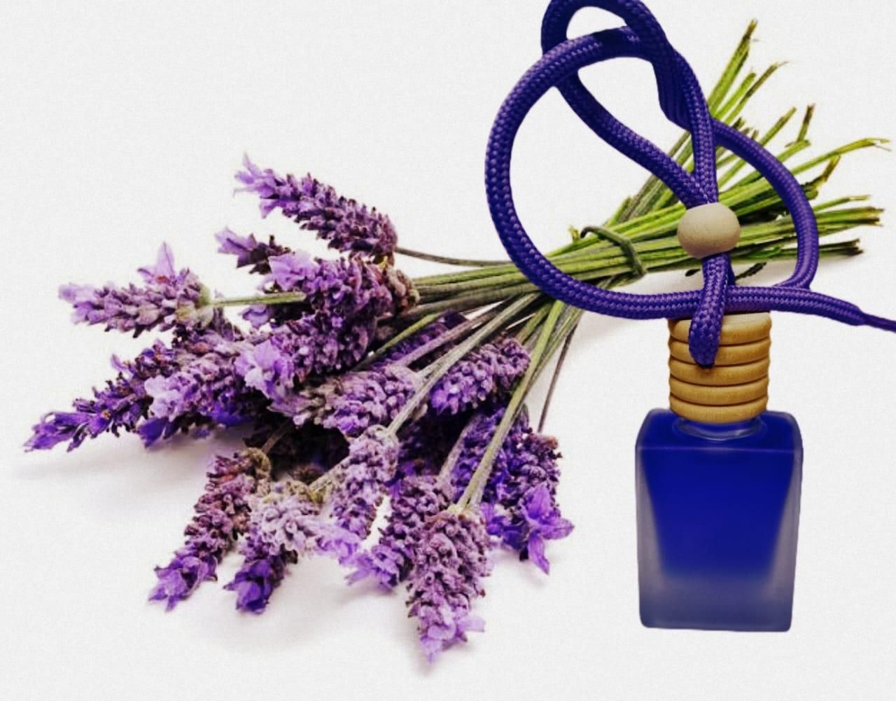 Hanging Car Perfume Pods Diffuser – Long-Lasting Scented Oil (Assorted Fragrance, 10ml, Pack of 1)